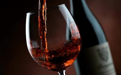 De la vigne à la bouteille : Découvrez les secrets fascinants du processus de vinification !